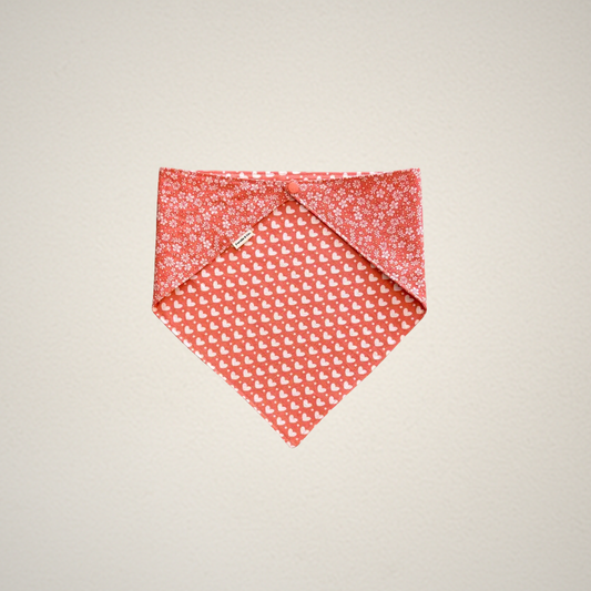 Spread Love Pet Bandana