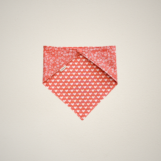 Spread Love Pet Bandana