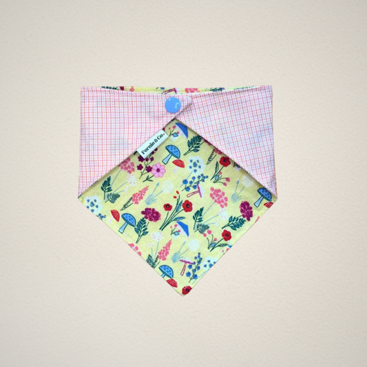 Pet Bandana