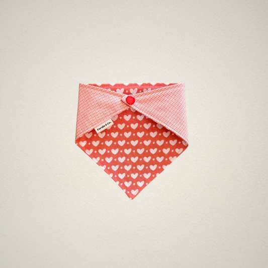 Spread Love Pet Bandana