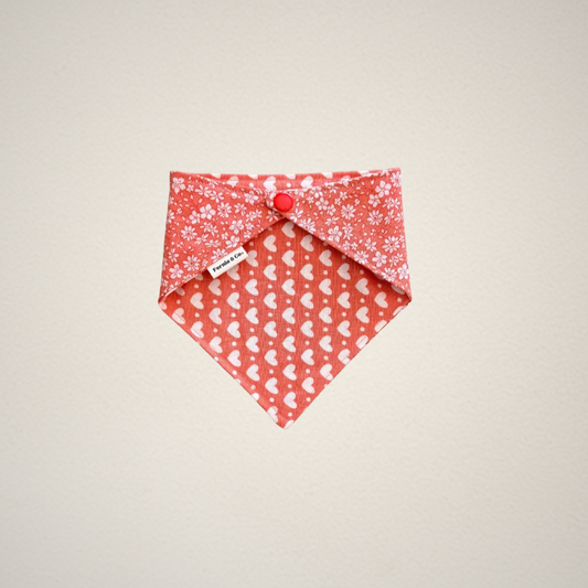 Spread Love Pet Bandana
