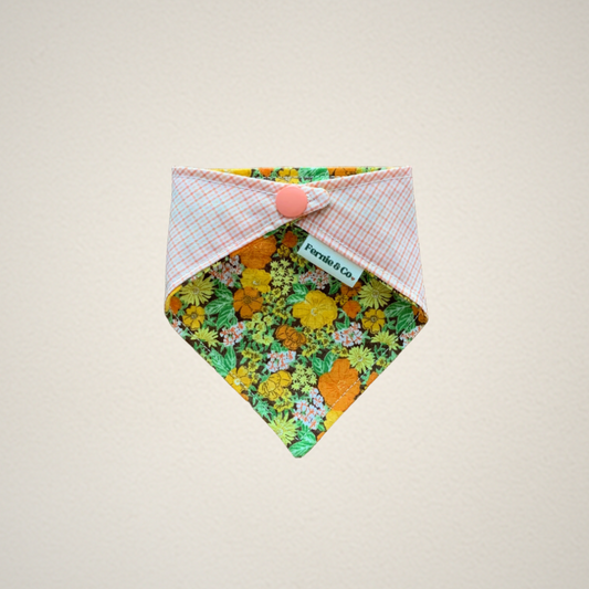 Pet Bandana