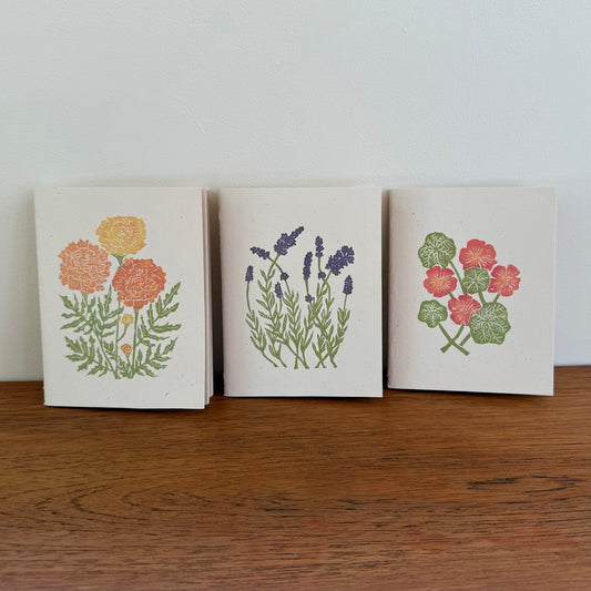 Veggie Companions Pocket Notebook 3-Piece Bundle