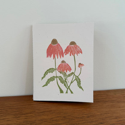 Handcrafted Notebook:  Echinacea