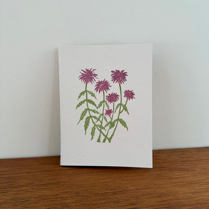 Pollinator Pocket Notebook 3-Piece Bundle