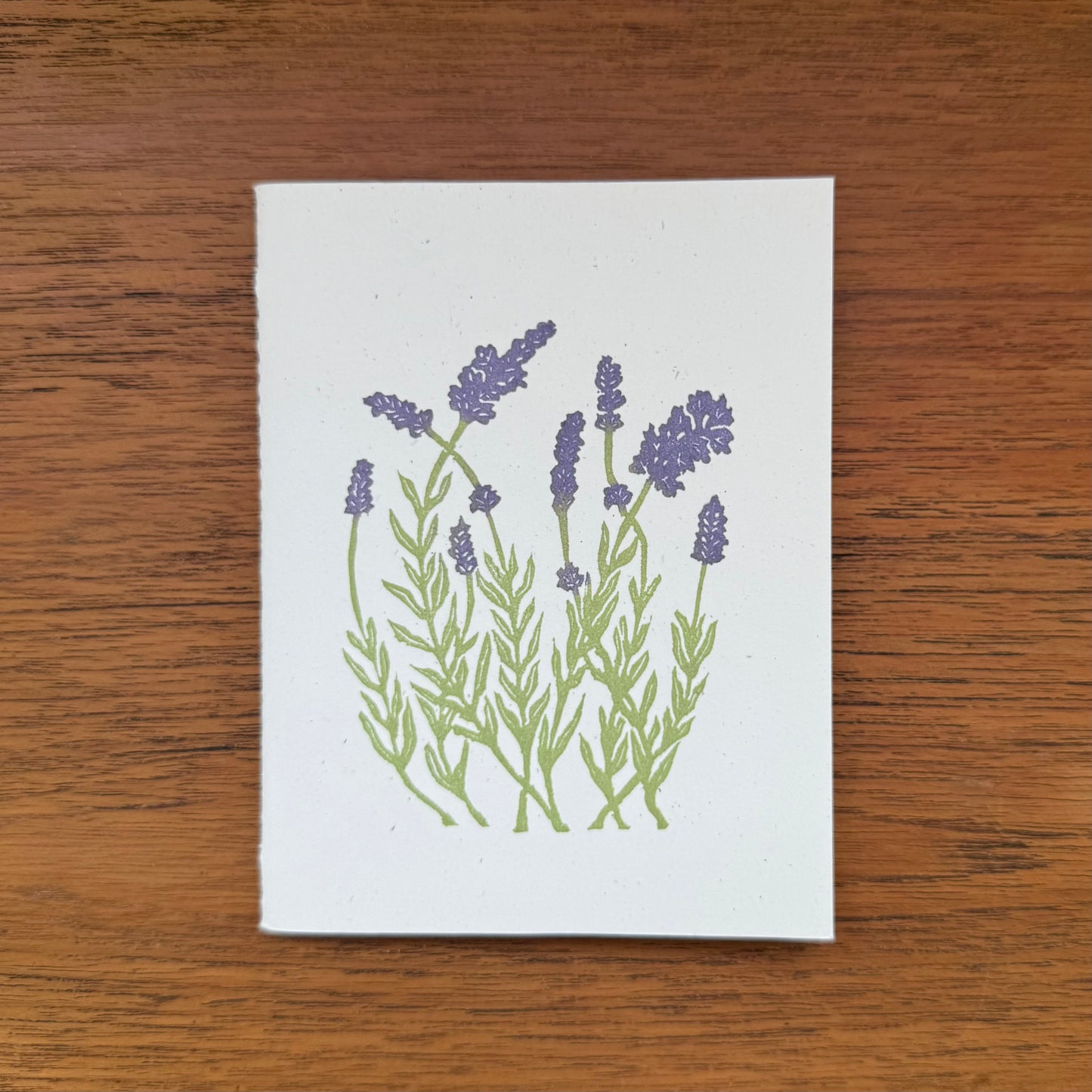 Veggie Companions Pocket Notebook 3-Piece Bundle