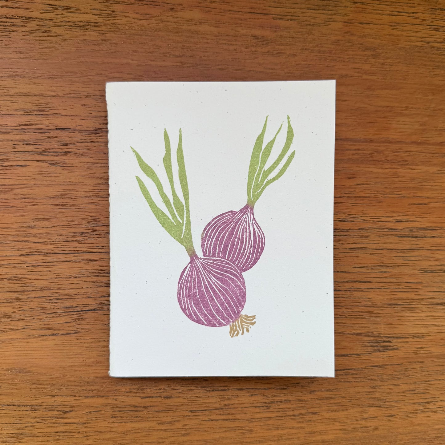 Handcrafted Notebook:  Red Onions