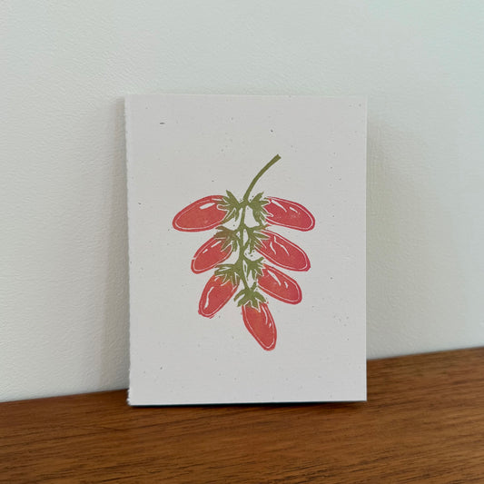 Handcrafted Notebook:  San Marzano Tomatoes