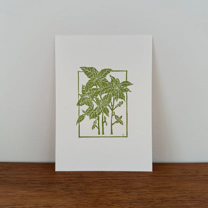 Basil - Original Linocut Print