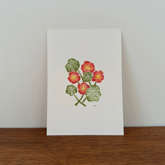 5x 7 Nasturtium Print