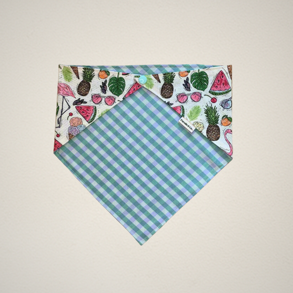 Pet Bandana