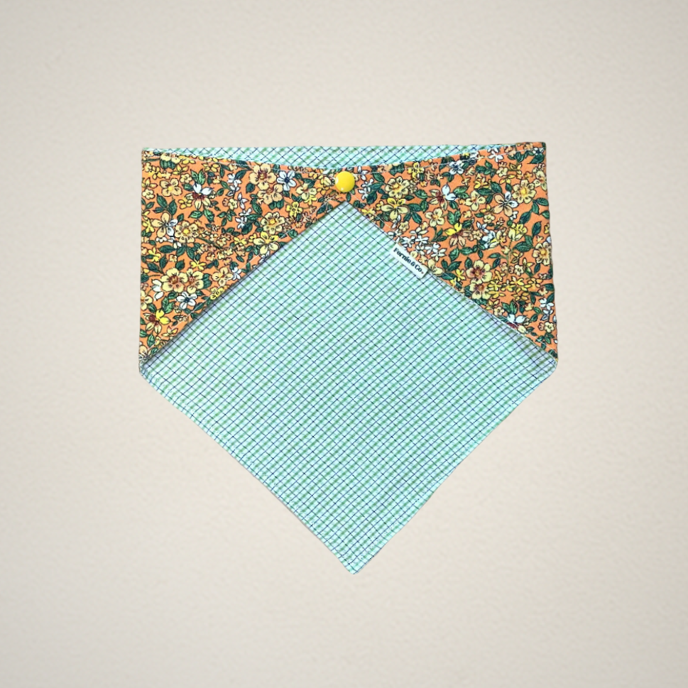 Pet Bandana
