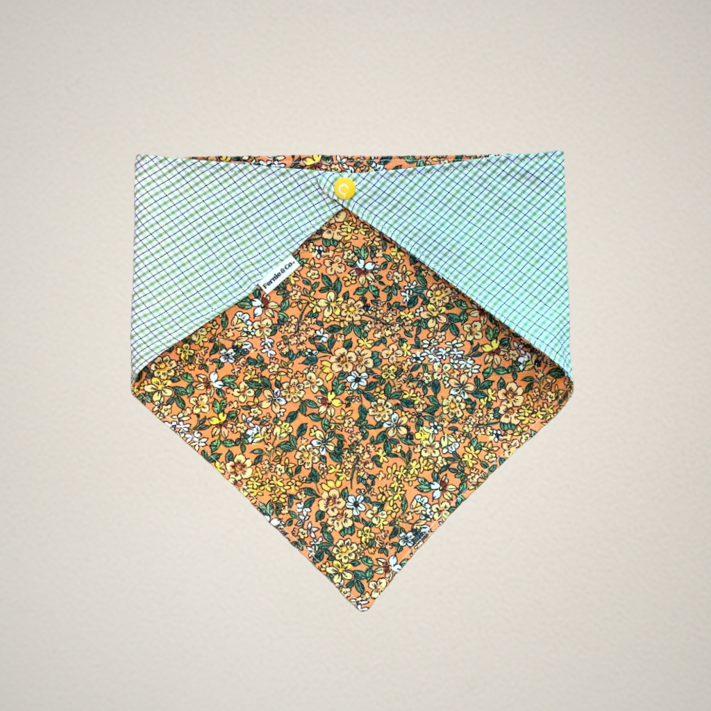 Pet Bandana