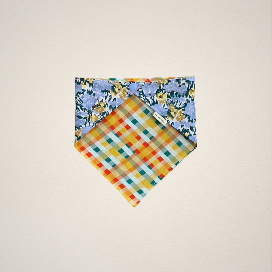 Pet Bandana