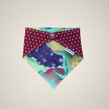 Pet Bandana