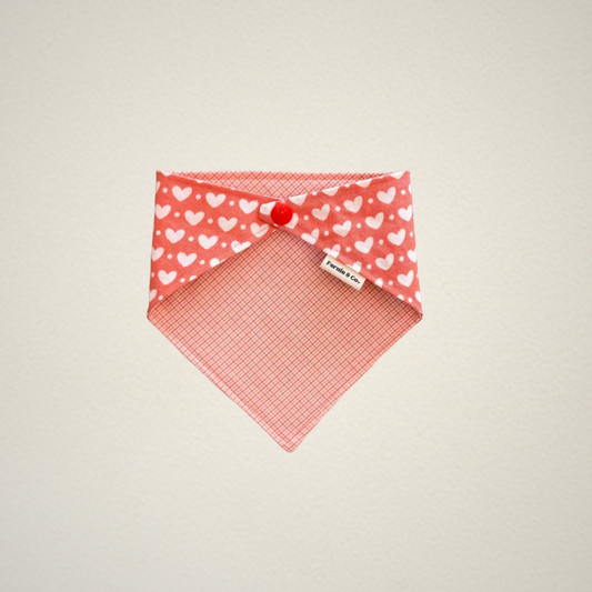Spread Love Pet Bandana