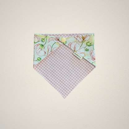 Pet Bandana