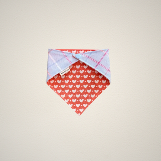 Spread Love Pet Bandana