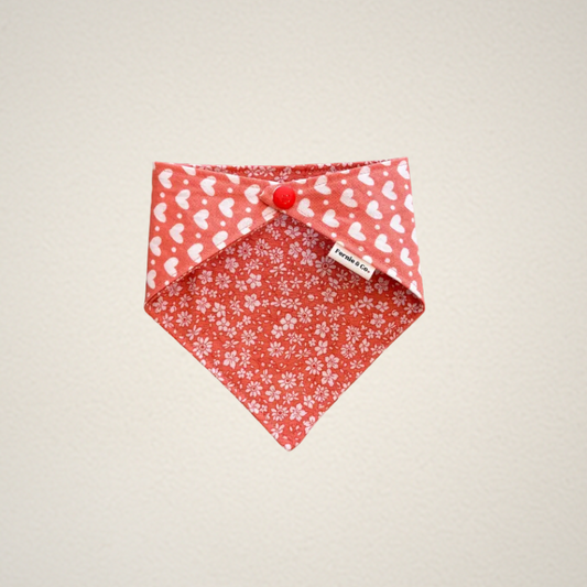Spread Love Pet Bandana