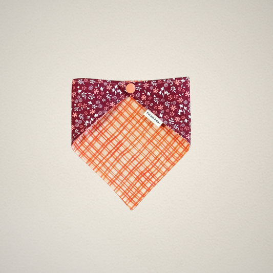 Pet Bandana