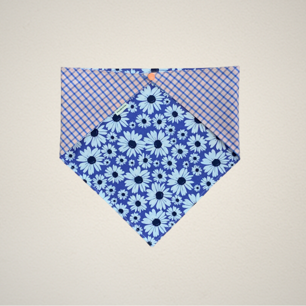 Pet Bandana