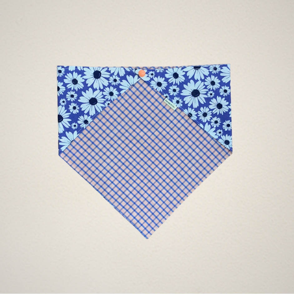 Pet Bandana
