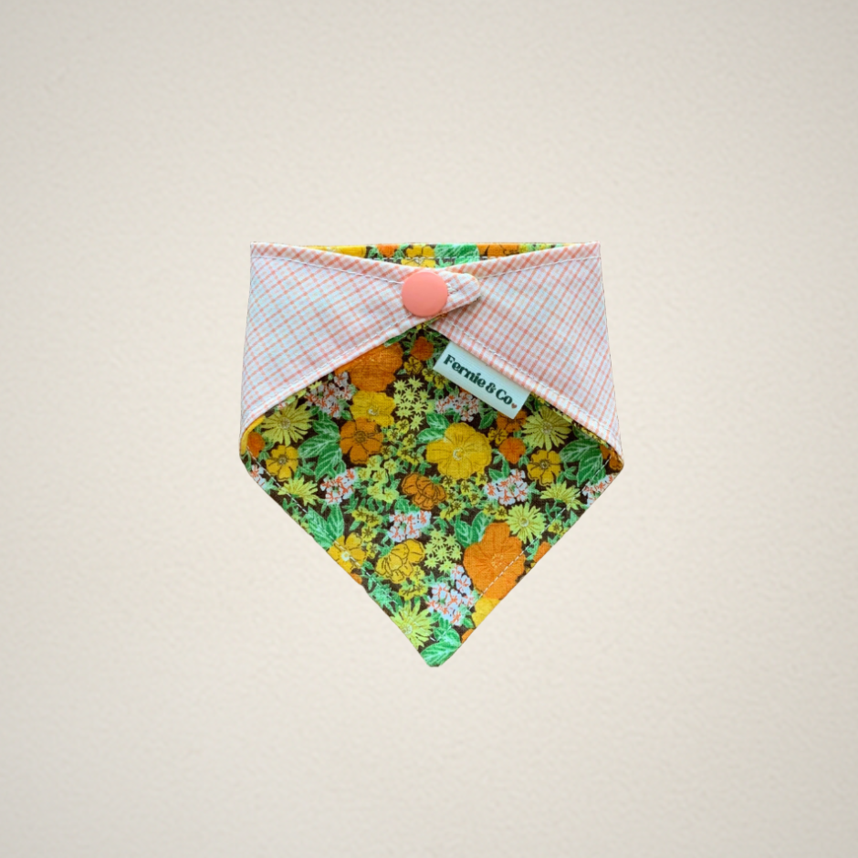 Pet Bandana