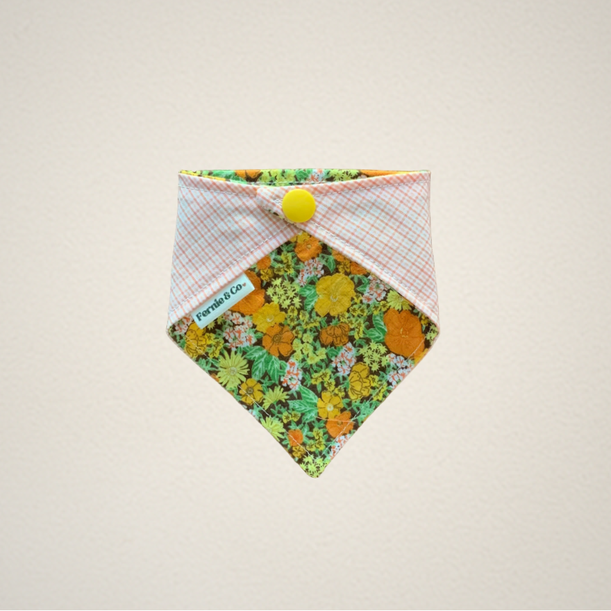 Pet Bandana