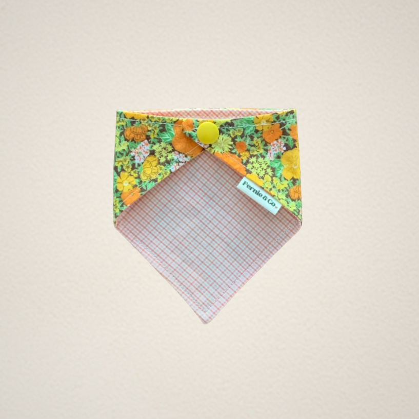 Pet Bandana