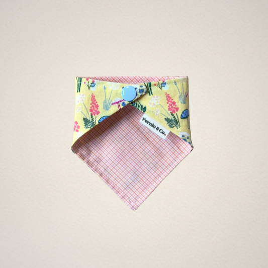 Pet Bandana