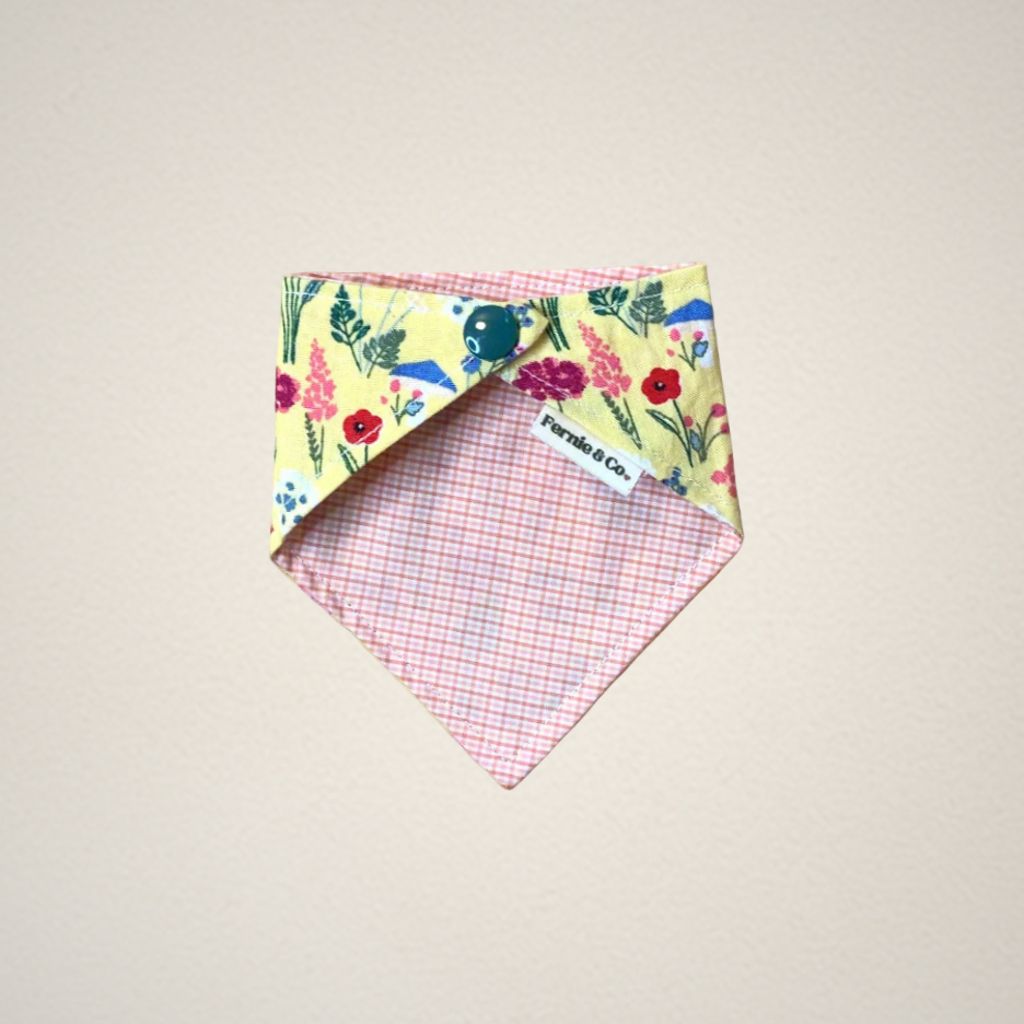 Pet Bandana