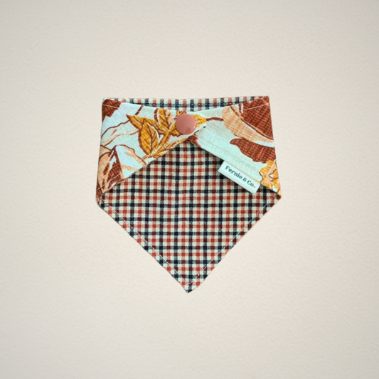 Pet Bandana